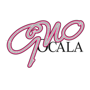 vector graphics custom drawn ocala fl